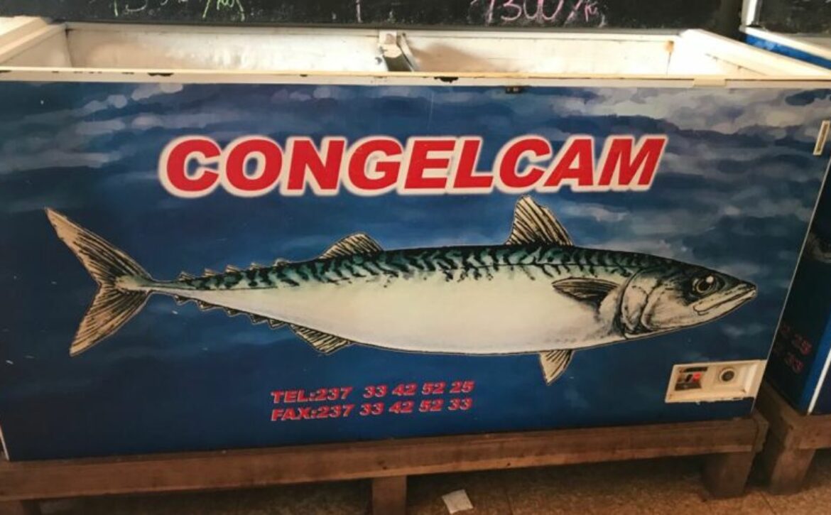 Congelcam