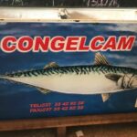 CONGELCAM S.A., le leader des produits de mer au Cameroun et dans la sous-région.