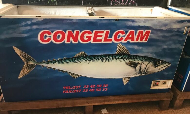 Congelcam