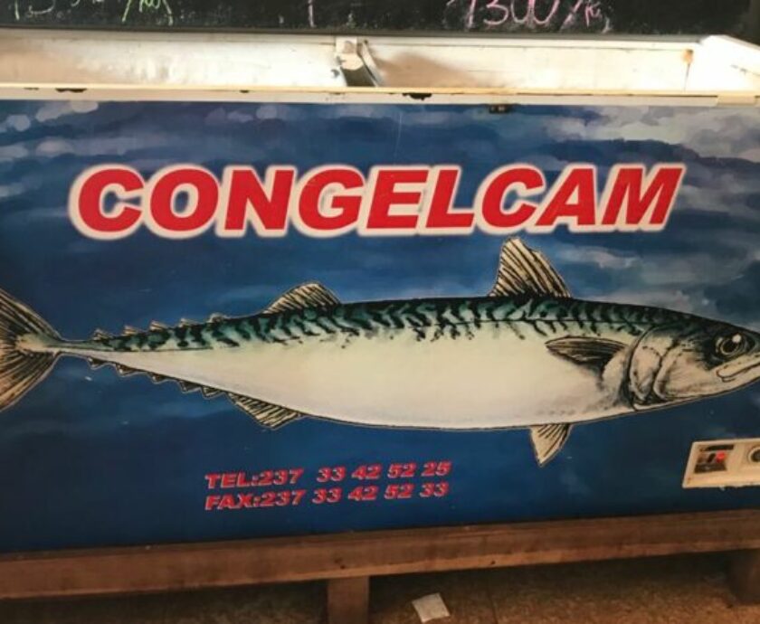 Congelcam